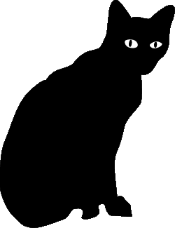 Chat Noir